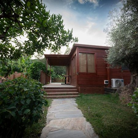 El Jardin Del Eden Βίλα Orgiva Εξωτερικό φωτογραφία